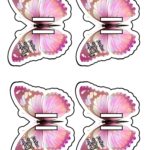 Card para Piranhas em PNG