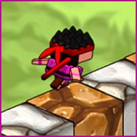 Cube Ninja Play