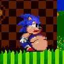 Sonic 2 XL Game Online