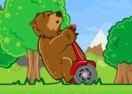 Bear On A Scooter