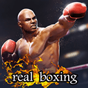 Real Boxing