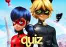 Quiz Miraculous: Você é a Ladybug ou o Cat Noir? - Jogos Online