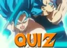 Quiz Dragon Ball Super: Você é o Goku ou o Vegeta?