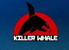 Killer Whale - Jogos Online