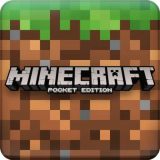 Minecraft Pooket