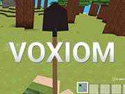 Voxiom