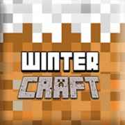 Winter Craft