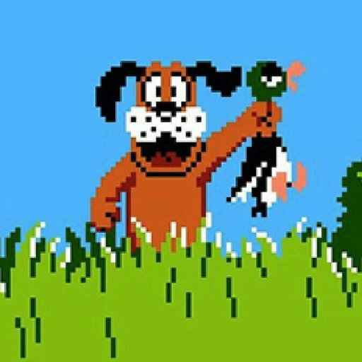 Duck Hunt (World)