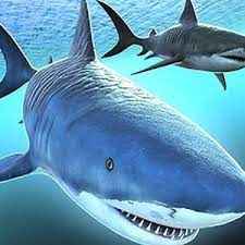 SHARKS 3D MULTIPLAYER