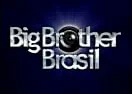 Big Brother Brasil 8