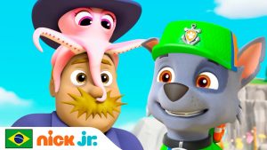 Patrulha Canina | Os filhotes salvam um bebê-polvo! | Nick Jr. em Português