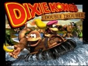 Donkey Kong Country 3: Dixie Kong’s Double Trouble! Game – Super Nintendo (SNES)